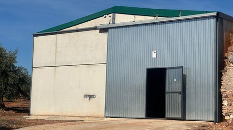Finca de olivar en Jaén con riego, naves y cosecha