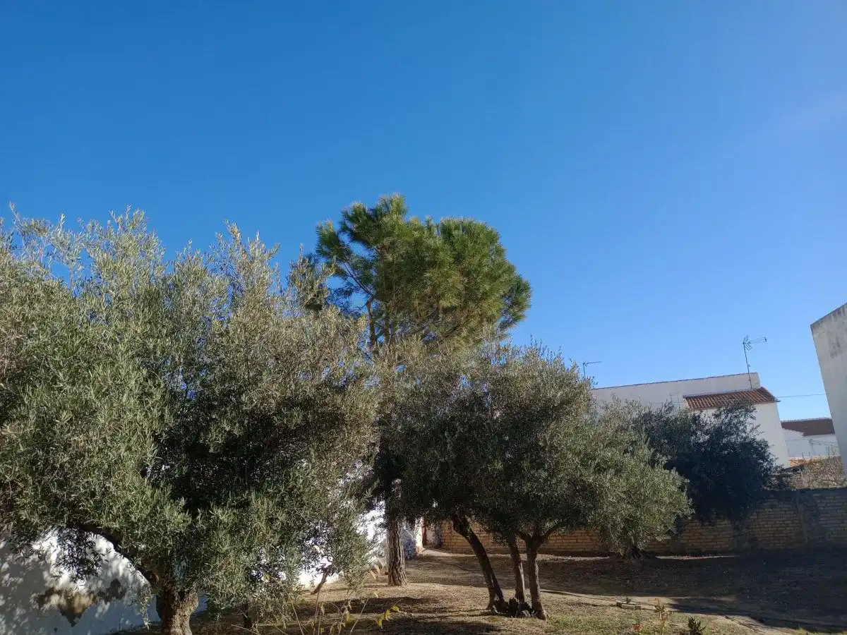 Casa en venda a Villanueva de Algaidas, imagen 77