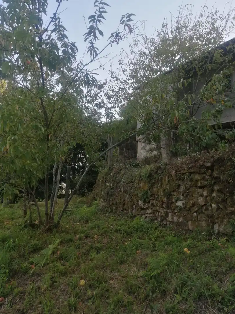 Haus zum Verkauf in Arbo, imagen 2