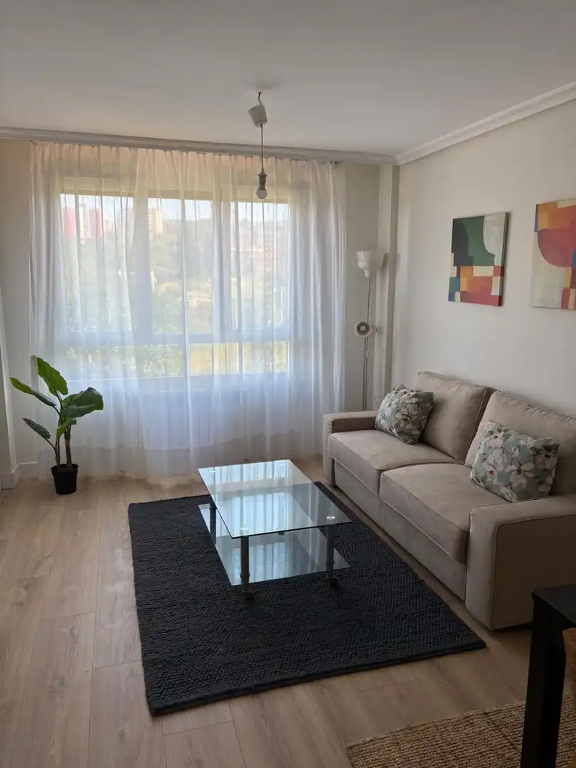 Sala d'estar de Pis de lloguer en Santander amb Calefacció, Terrassa i Moblat