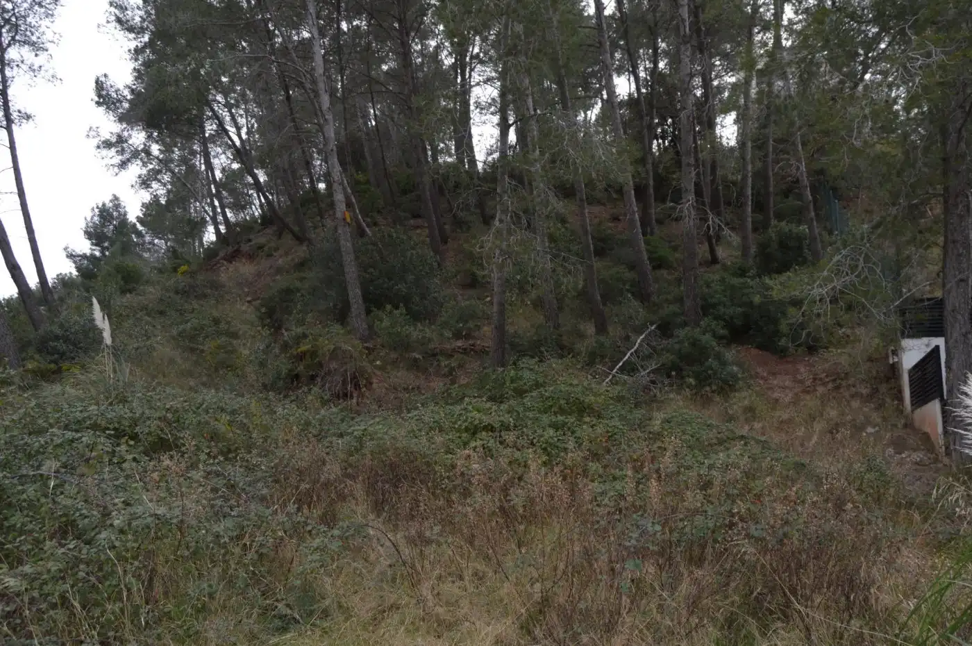 Wohnbaugrundstück zum Verkauf in Corbera de Llobregat, imagen 23