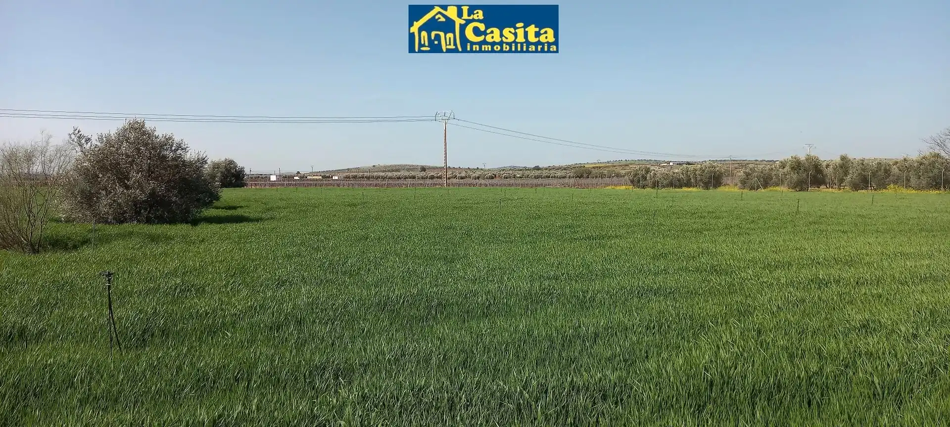 Nau industrial en venda a Almagro, imagen 29