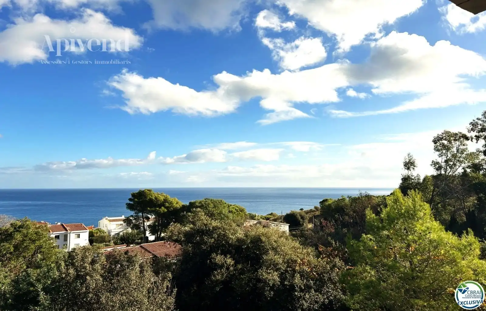 Appartamento in vendita a Abat Oliva, imagen 24