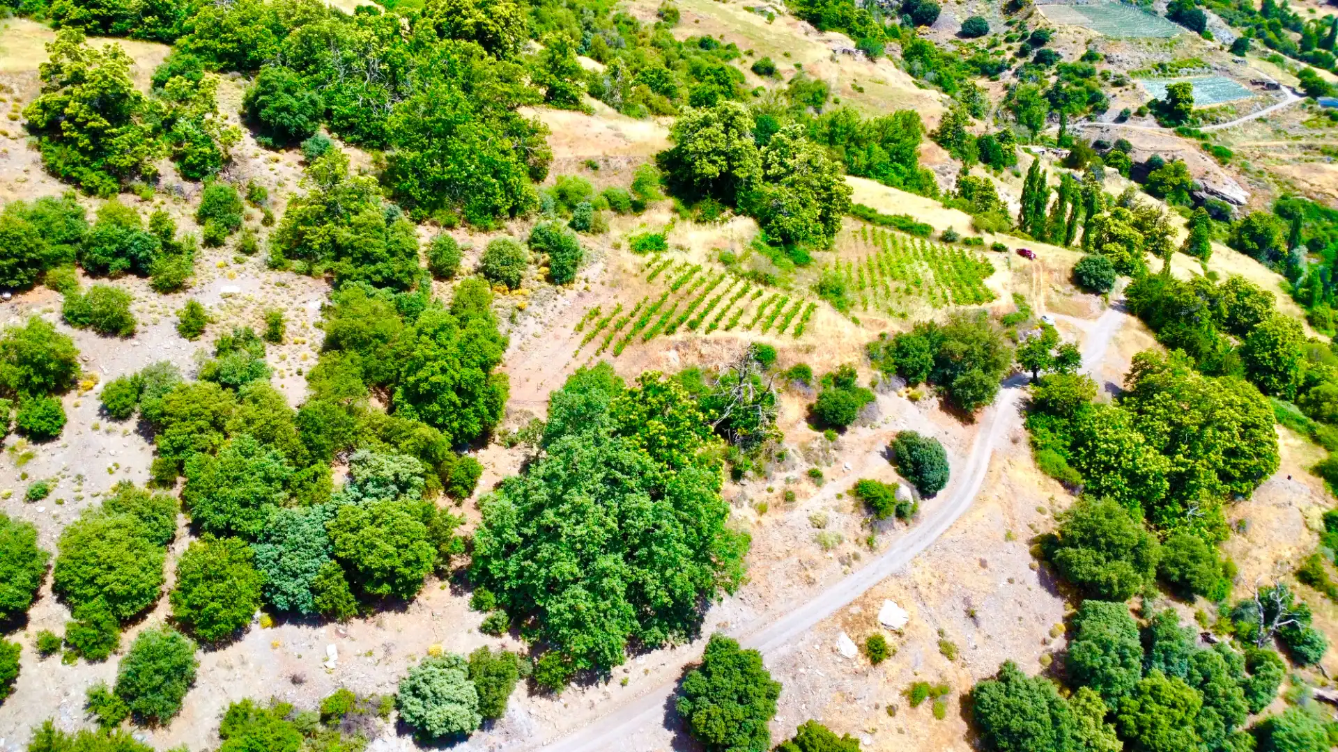 Terreni e lotti in vendita a Alpujarra de la Sierra, imagen 19