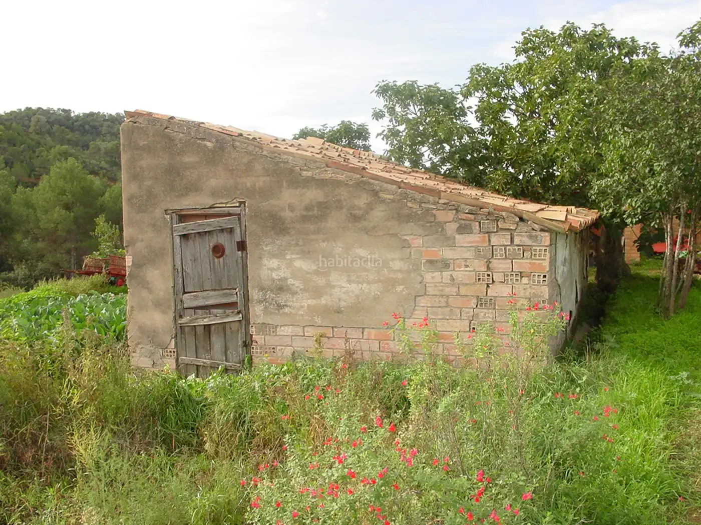 Rustikales Grundstück zum Verkauf in Avinguda Vilanova 4, imagen 8
