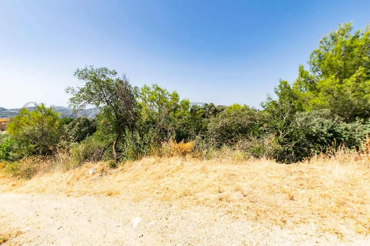 Terreny rústic en venda a Canillas de Albaida, imagen 4