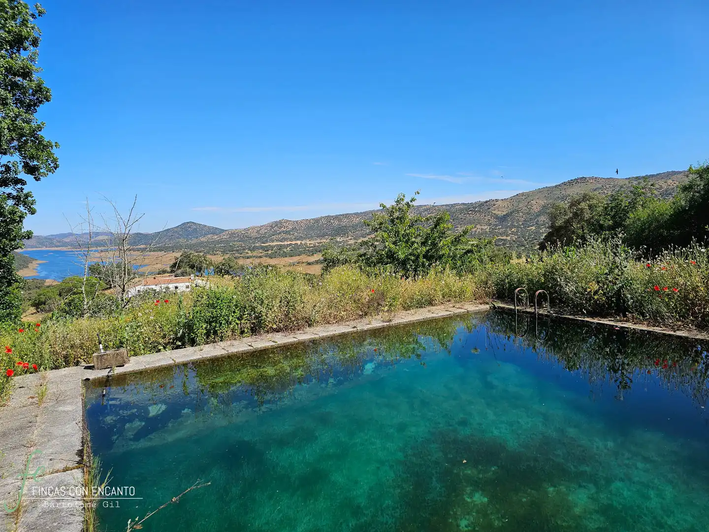 Swimming pool of Country homes for sale in Cazalla de la Sierra  with Swimming Pool