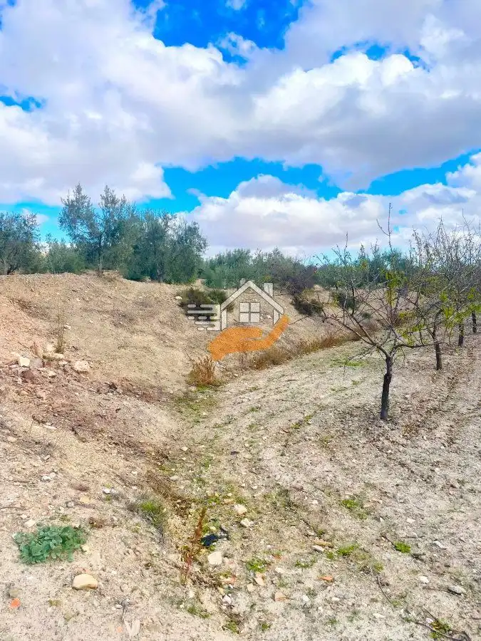 Residential land for sale in Vélez-Rubio, imagen 12