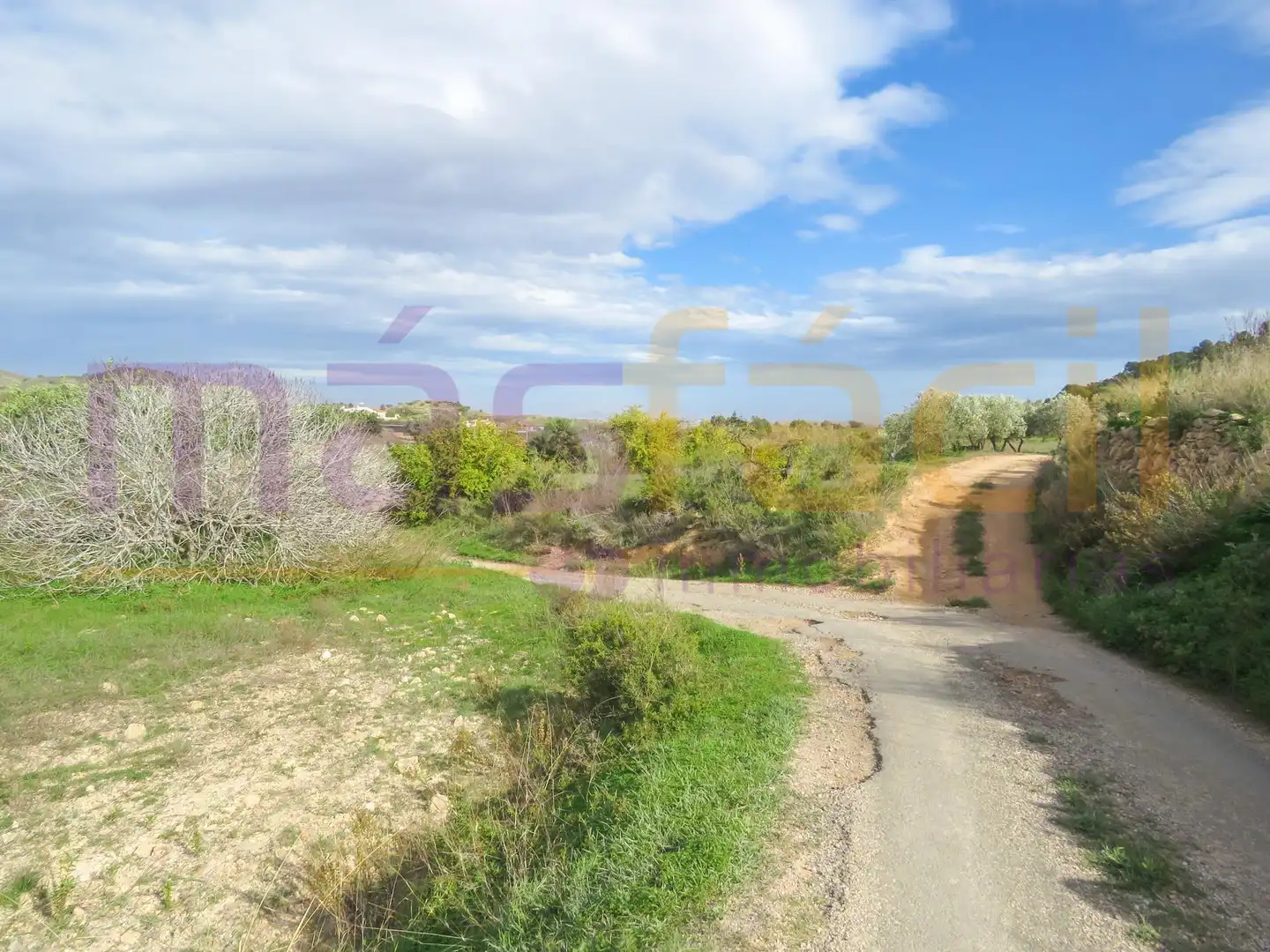 Finca rústica en venta en LOS MORENOS, Los Barreros - Cuatro Santos