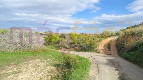 Foto 5 de Finca rústica en venta en Los Morenos, Los Barreros - Cuatro Santos, Murcia