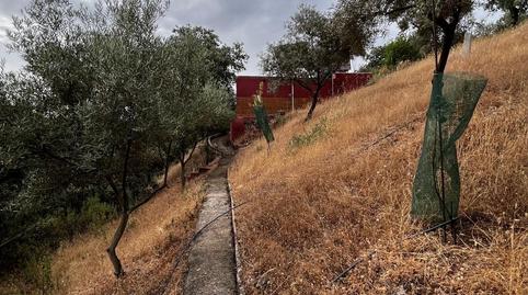 Photo 5 of Country house for sale in El Brillante -El Naranjo - El Tablero, Córdoba