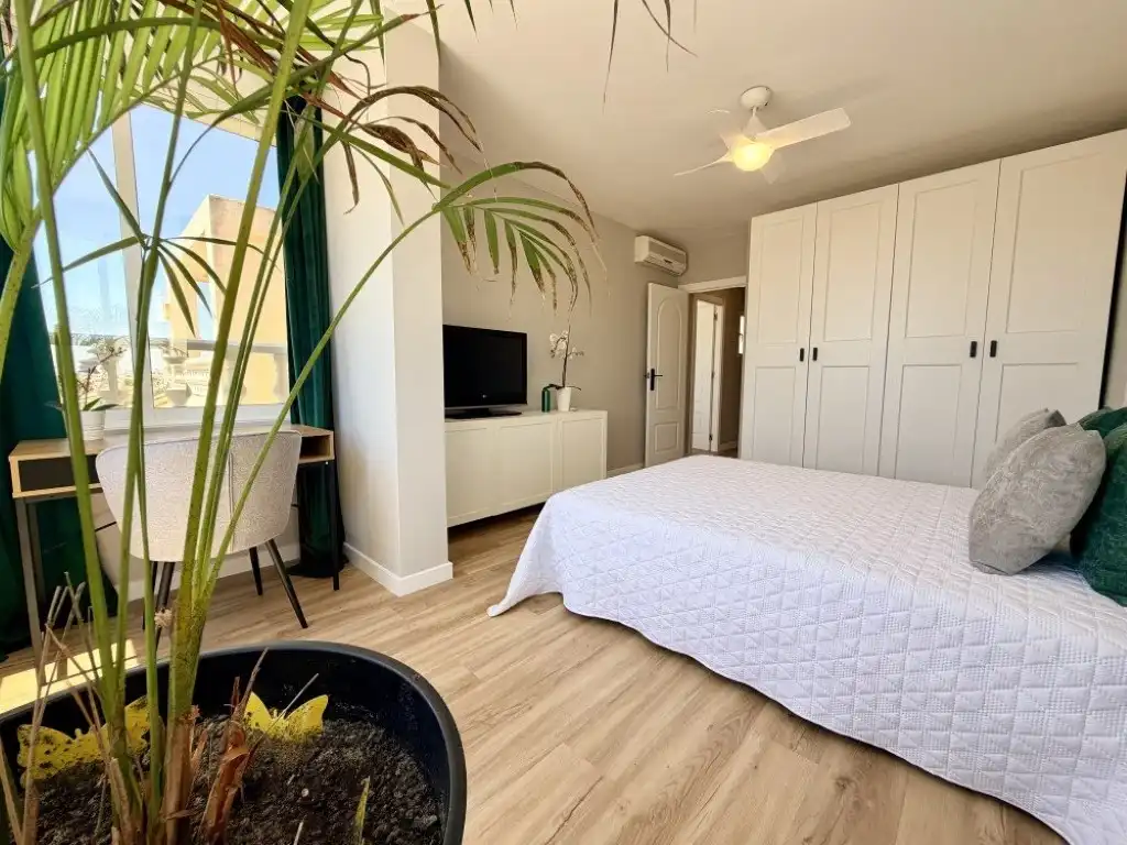 Casa con terraza en venta en Calle Tomas Martinez Domenech, imagen 10