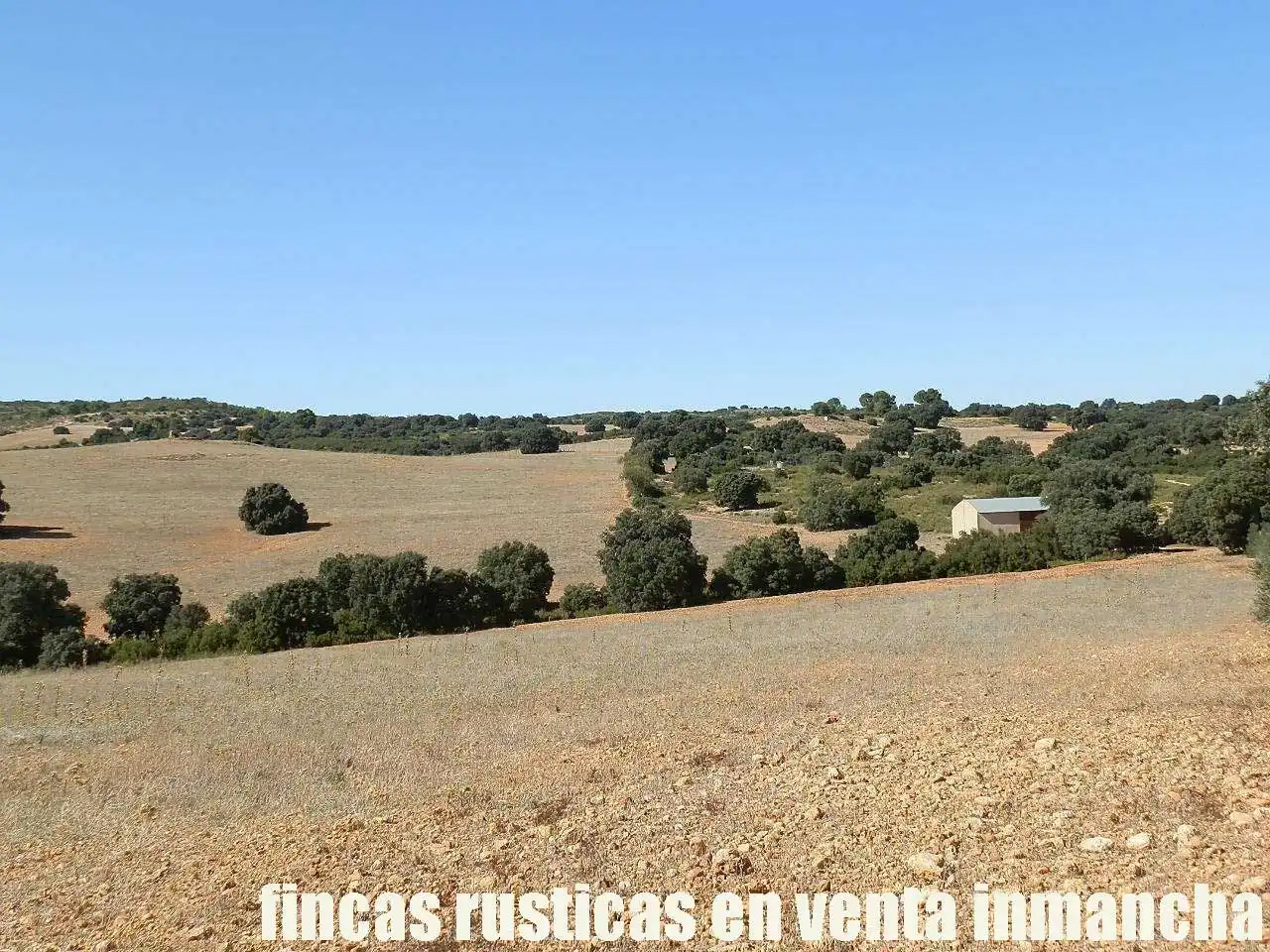 Terreno en venta en Albacete