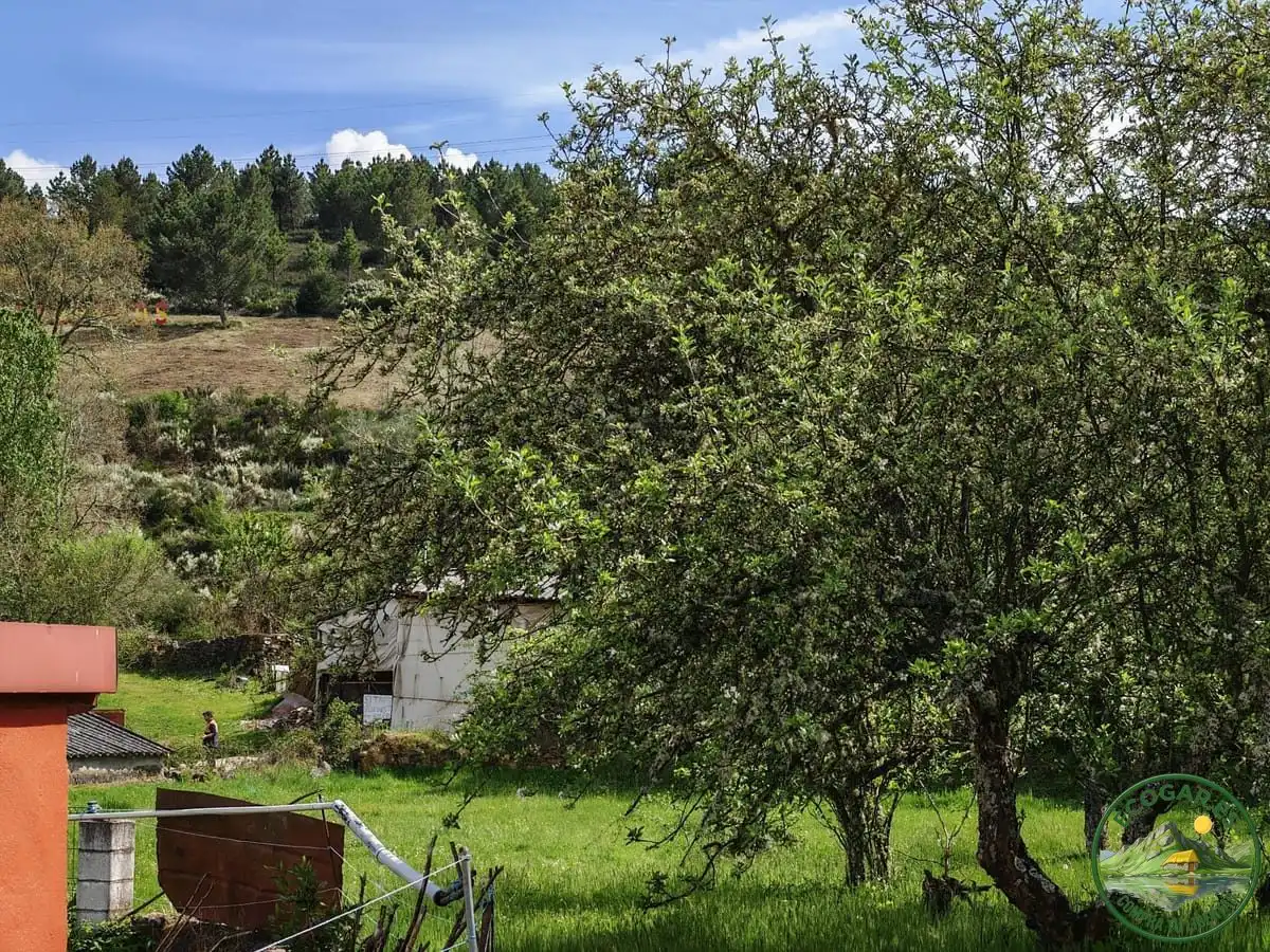Jardín de Residencial en venta en Magaz de Cepeda