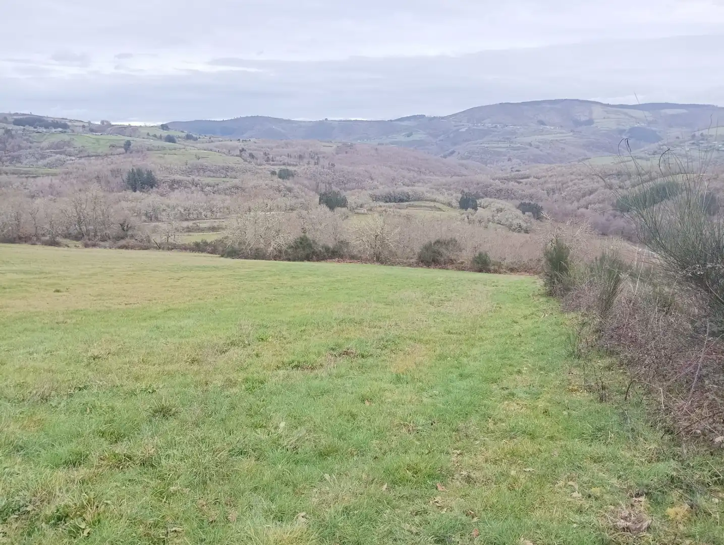 Finca rústica en venta en Becerreá