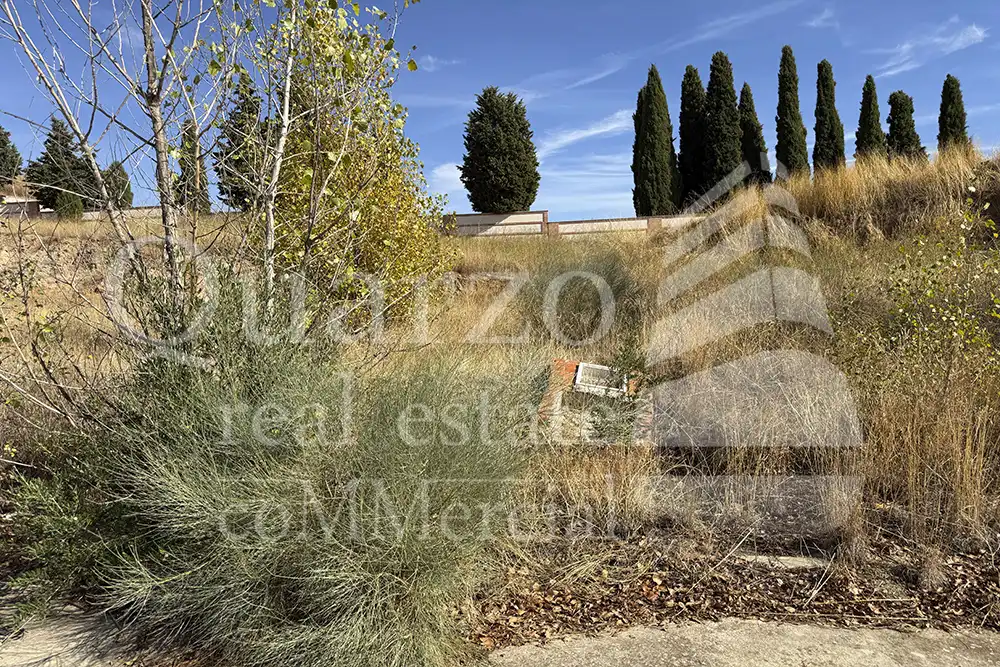 Terreny residencial en venda a Tórtola de Henares, imagen 23