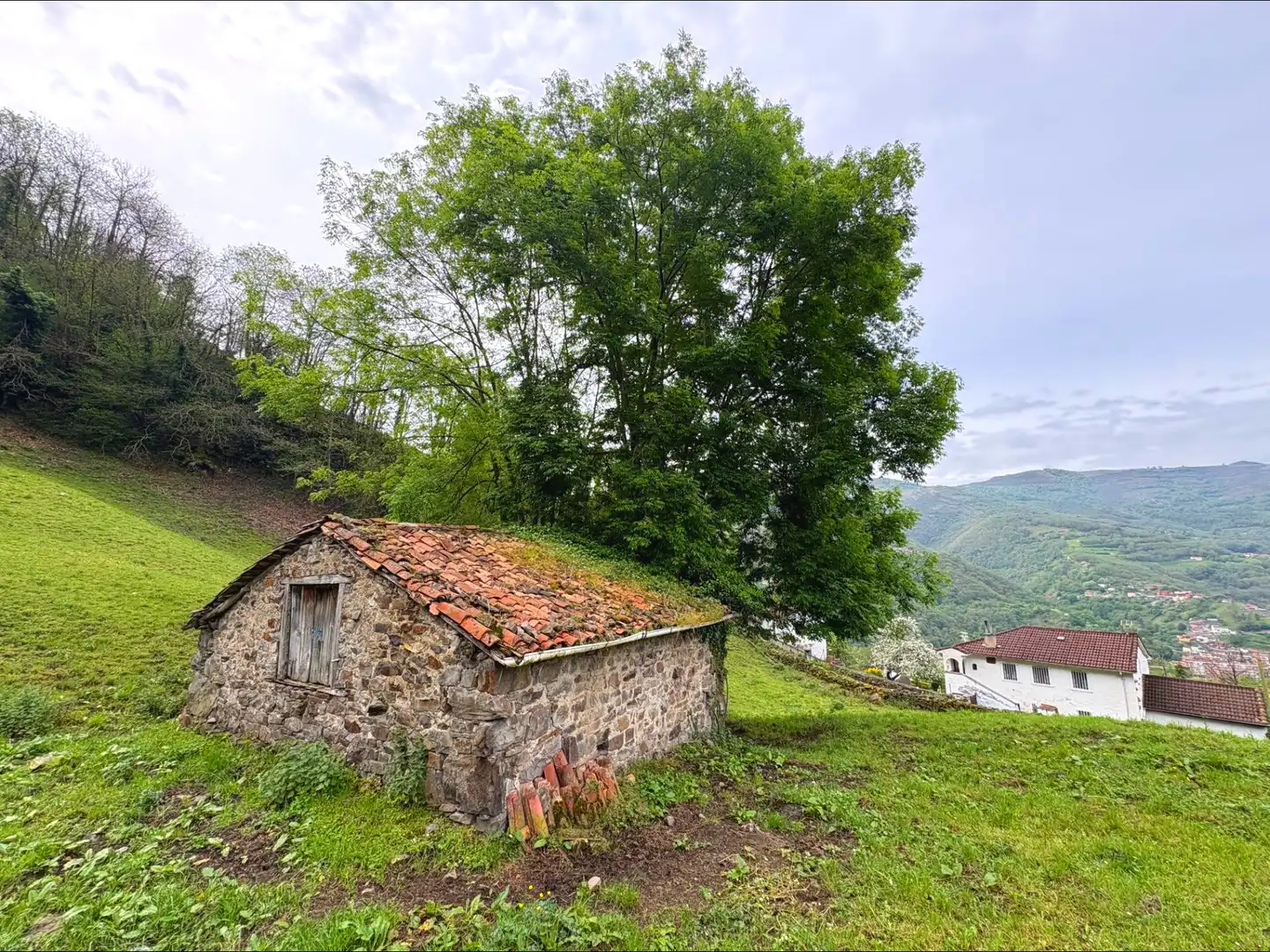 Vista exterior de Casa o chalet en venta en Aller con Jardín privado