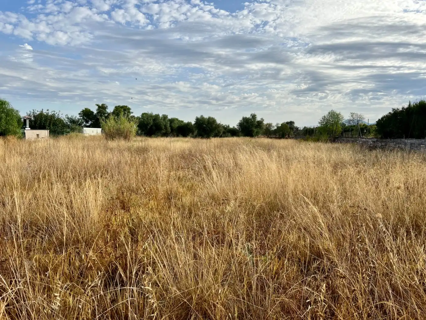 Residential land for sale in Las Tiesas, imagen 5