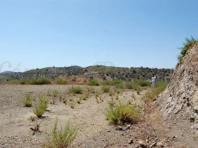 Terreni e lotti in vendita a Árchez, imagen 3