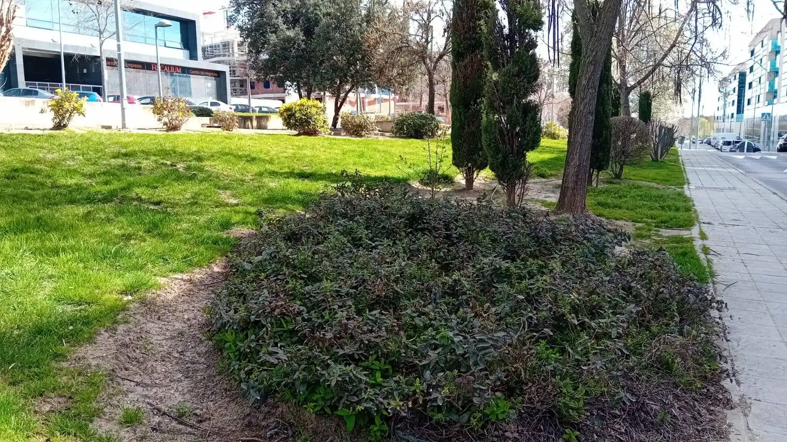 Jardí de Loft en venda en San Sebastián de los Reyes amb Calefacció