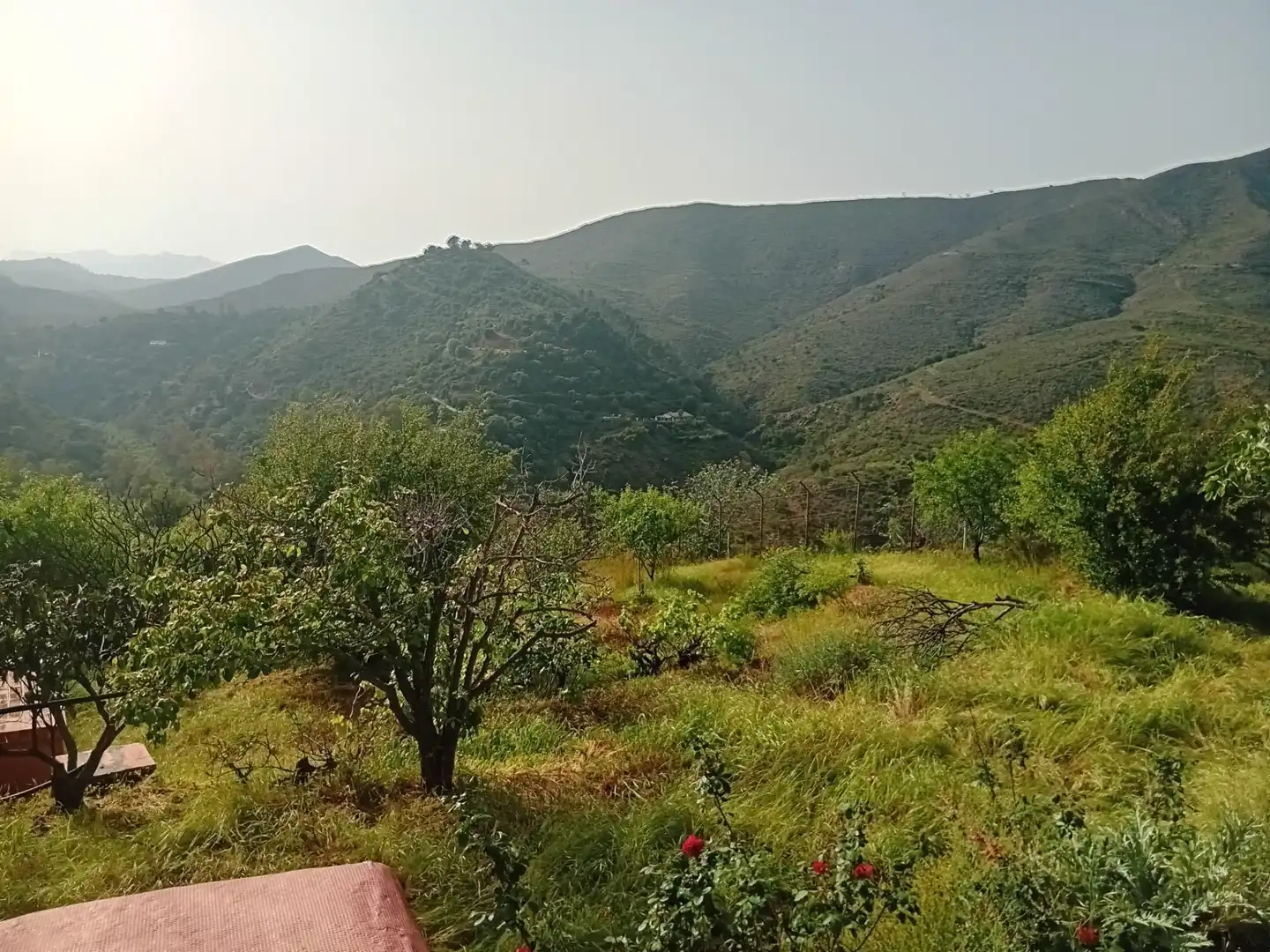 Casa o xalet en venda en Marbella amb Jardí privat, Terrassa i Traster