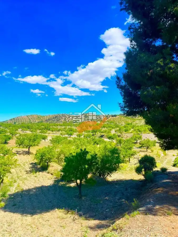 Residential land for sale in Vélez-Rubio, imagen 17