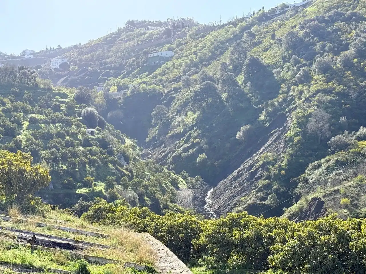 Exterior view of Land for sale in Canillas de Albaida