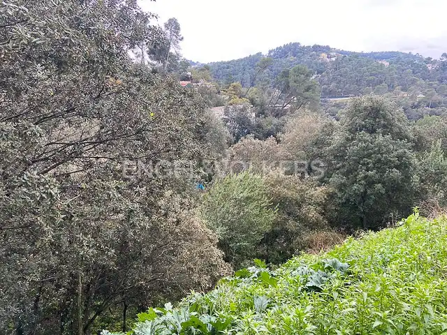 Terreno residencial en venta en La Floresta, imagen 8