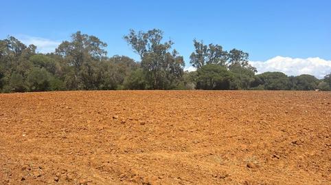 Foto 3 de Residencial en venda a La Muela, Cádiz