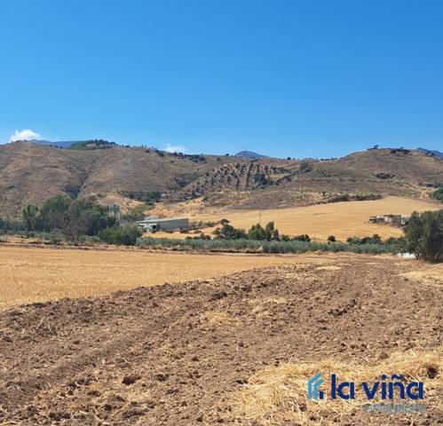 Terreno en Venta en Casco Histórico