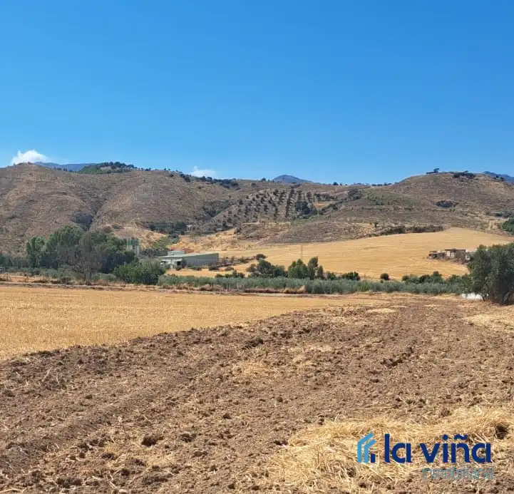 Terrenys i solars en venda a Casco Histórico