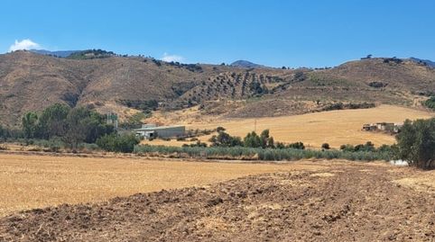 REF:160925977 SE VENDE PARCELA RUSTICA EN ANTEQUERA (MÁLAGA)