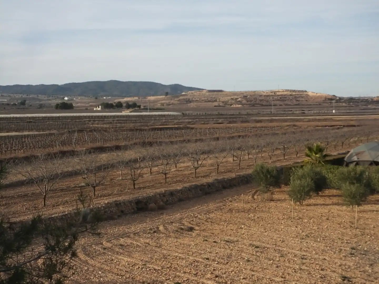 Casa rústica en venta en El Pinós / Pinoso, imagen 26