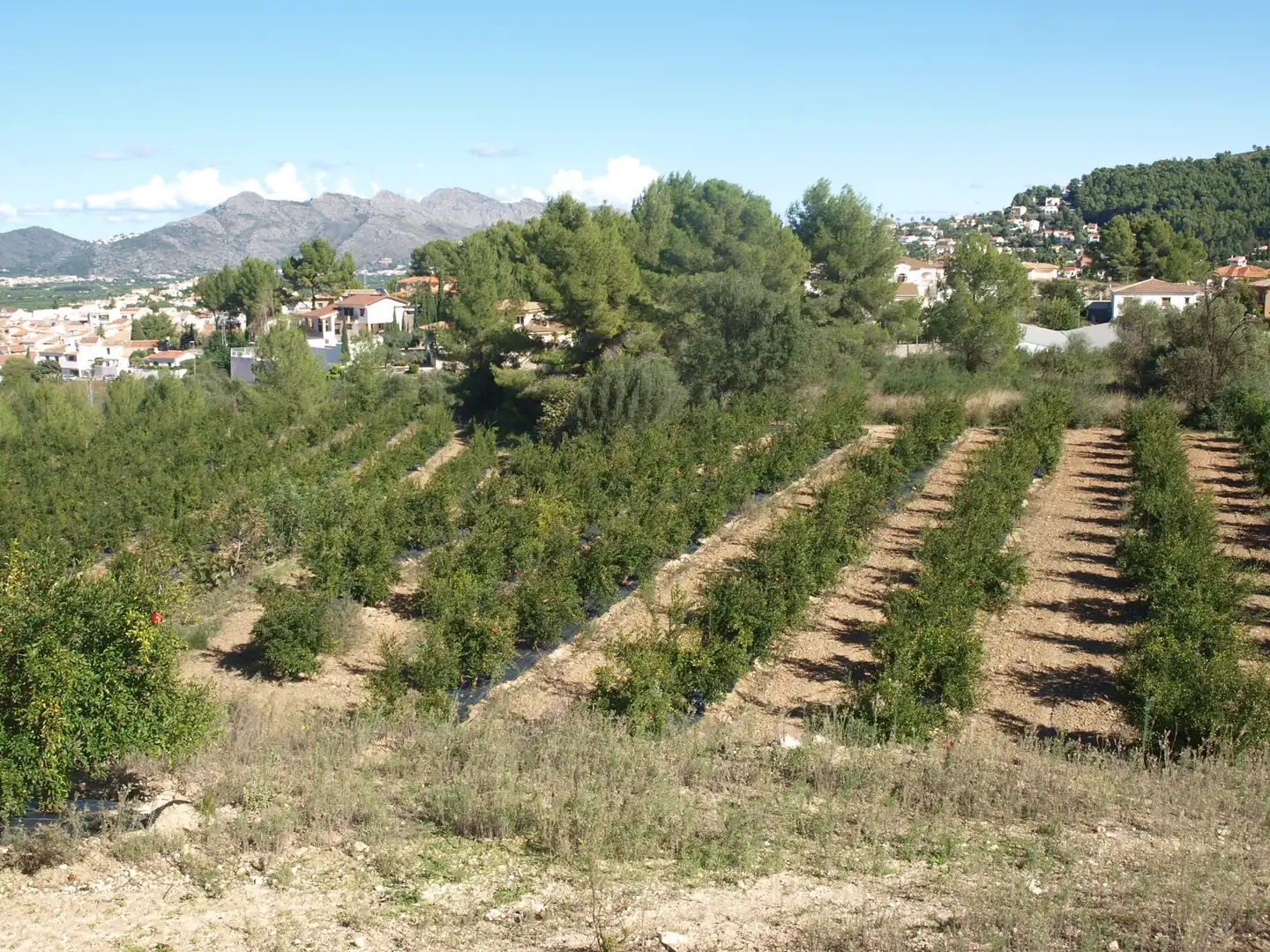 Terreno residenziale in vendita a Calles, imagen 8