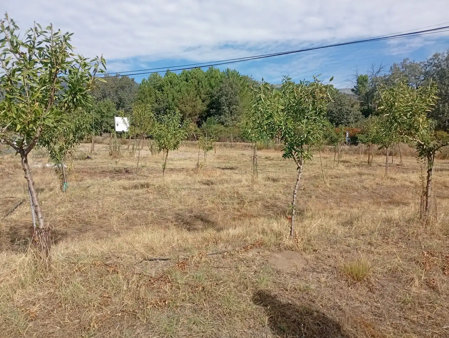 Terrain rustique à vendre à Villanueva de la Vera, imagen 33