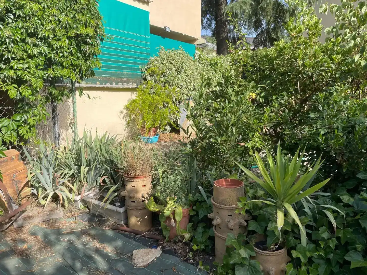 Jardí de Casa o xalet en venda en Collado Villalba amb Piscina
