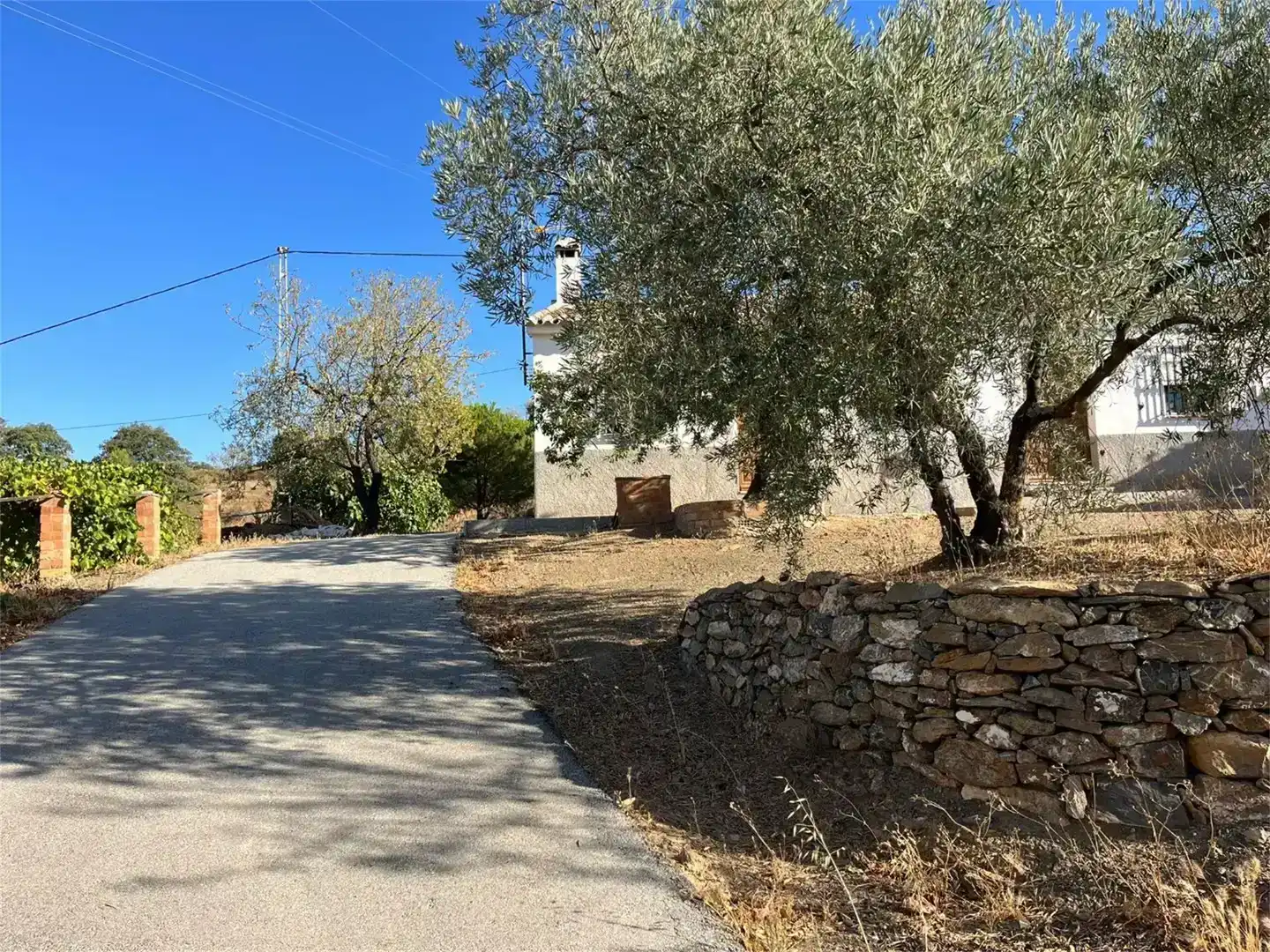 Vista exterior de Finca rústica en venda en Málaga Capital