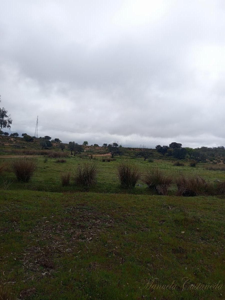 Country house for sale in Oeste