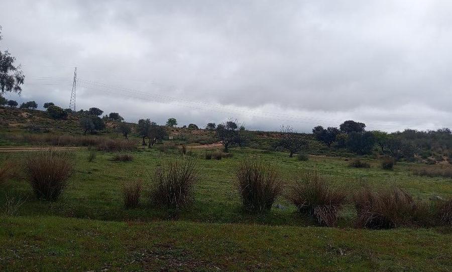 Photo 1 of Country house for sale in Oeste, Badajoz