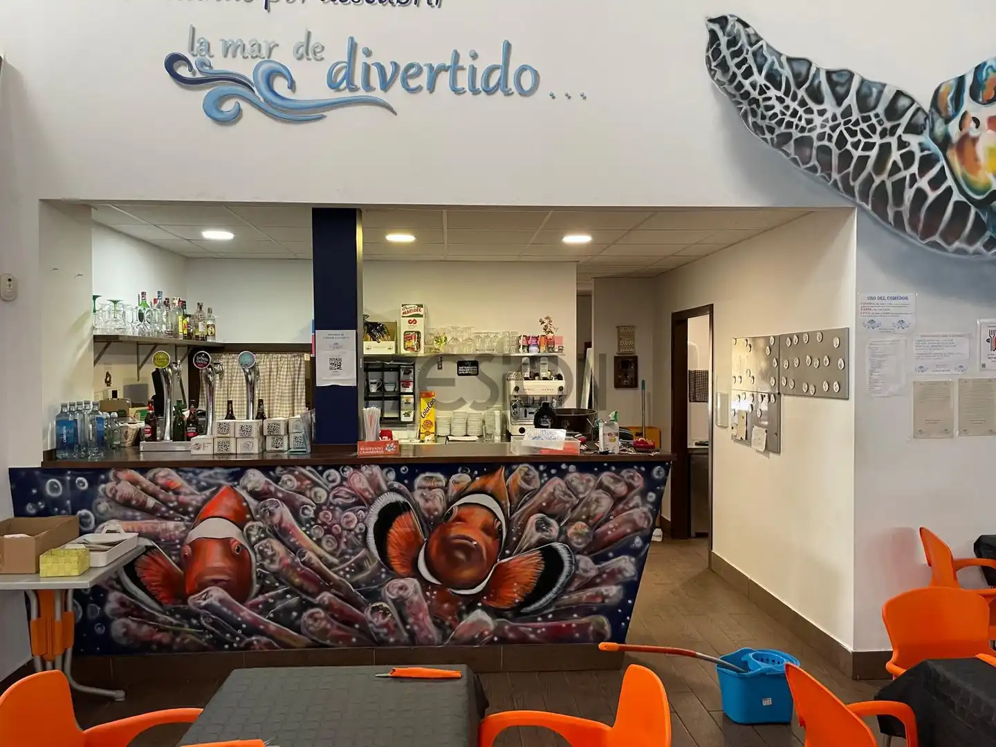 Business premises for transfer in Moncófar Pueblo, imagen 8