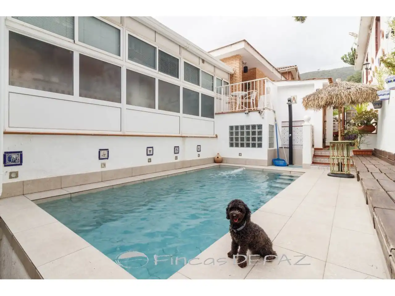 Chalet con jardín en venta en Avenida Bellamar, imagen 14