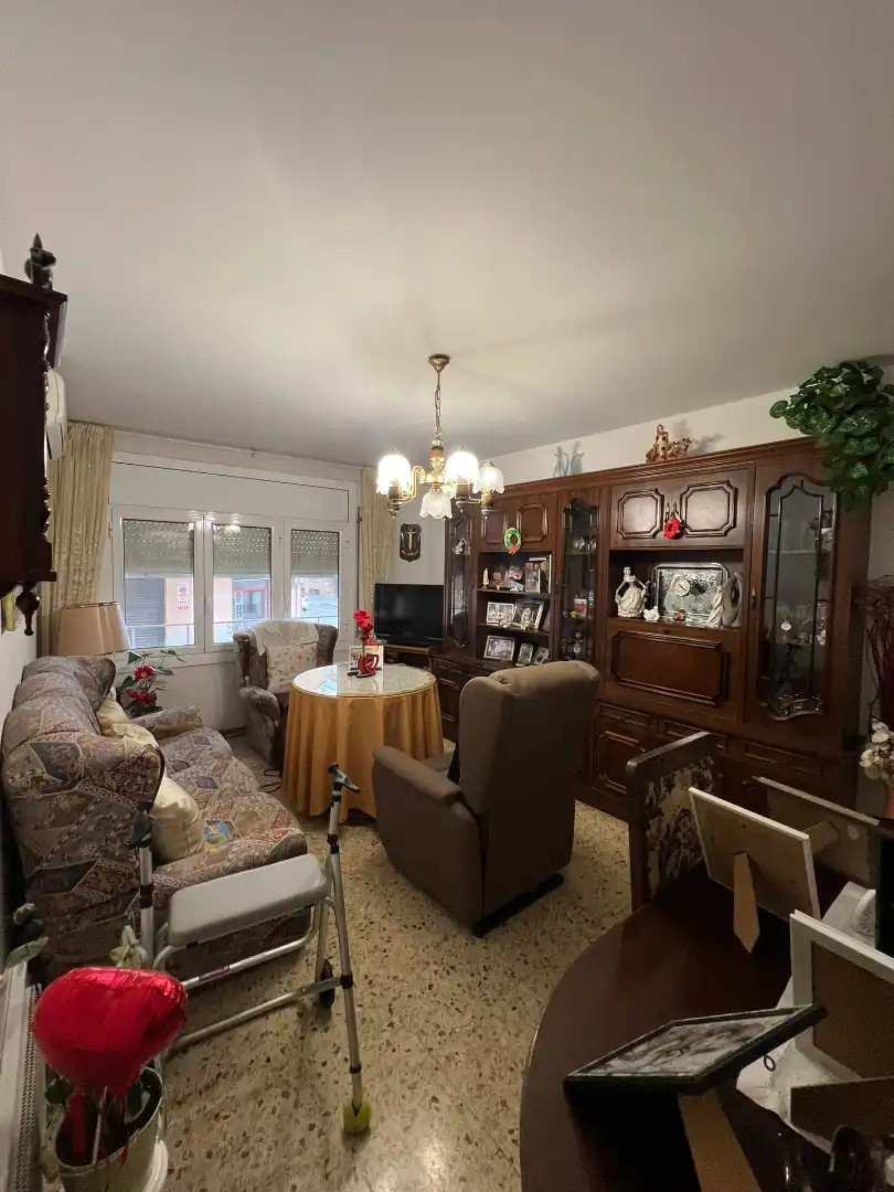 Living room of Flat for sale in Pineda de Mar  with Furnished