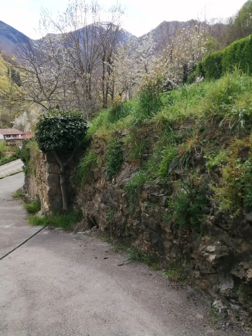 Vista exterior de Casa o xalet en venda en Vega de Liébana amb Jardí privat, Moblat i Balcó