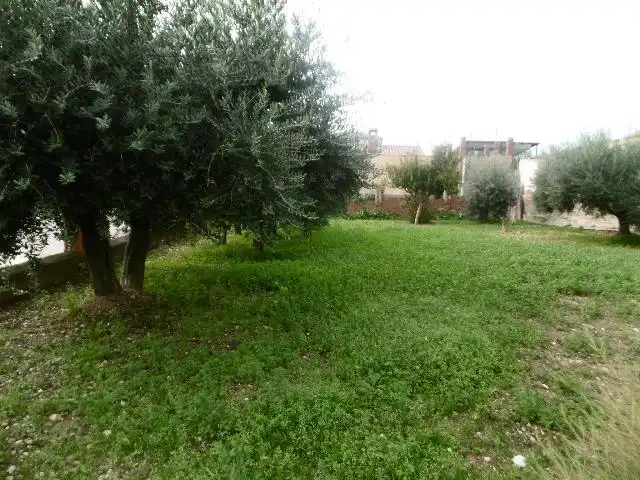 Terreno rustico in vendita a Piera, imagen 2