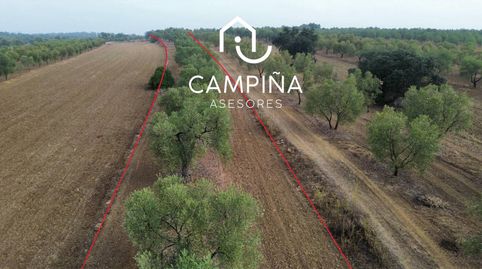 Foto 5 de Terreno en venta en Calle Cabezo de Los Prados, Beas, Huelva