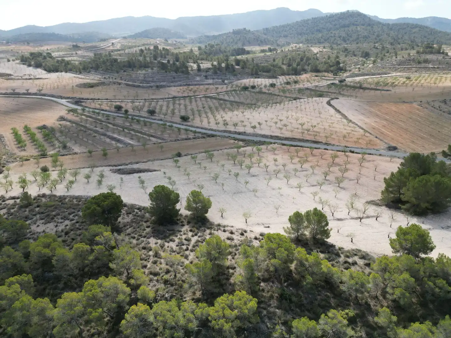 Terreny residencial en venda a Jumilla, imagen 12