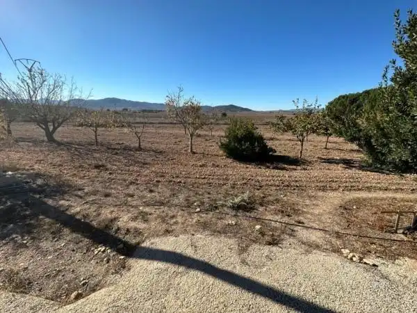 Villa avec piscine à vendre à Monóvar  / Monòver, imagen 42