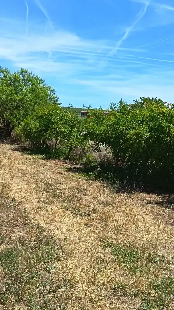 Finca rústica en venda en Llardecans