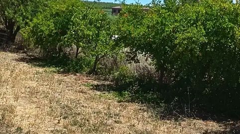 Foto 5 de Finca rústica en venta en Carrer Verge de Loreto, 22, Llardecans, Lleida