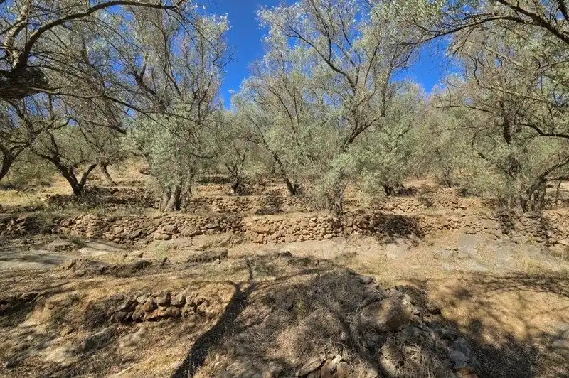 Terreno rustico in vendita a El Pinar, imagen 35
